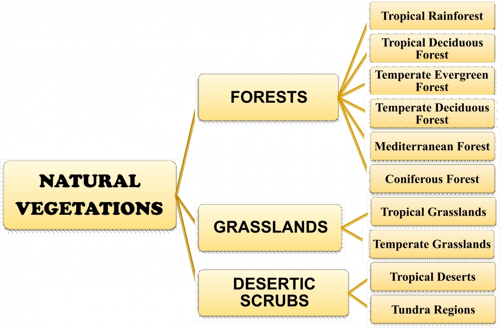 what are the different types of natural vegetation